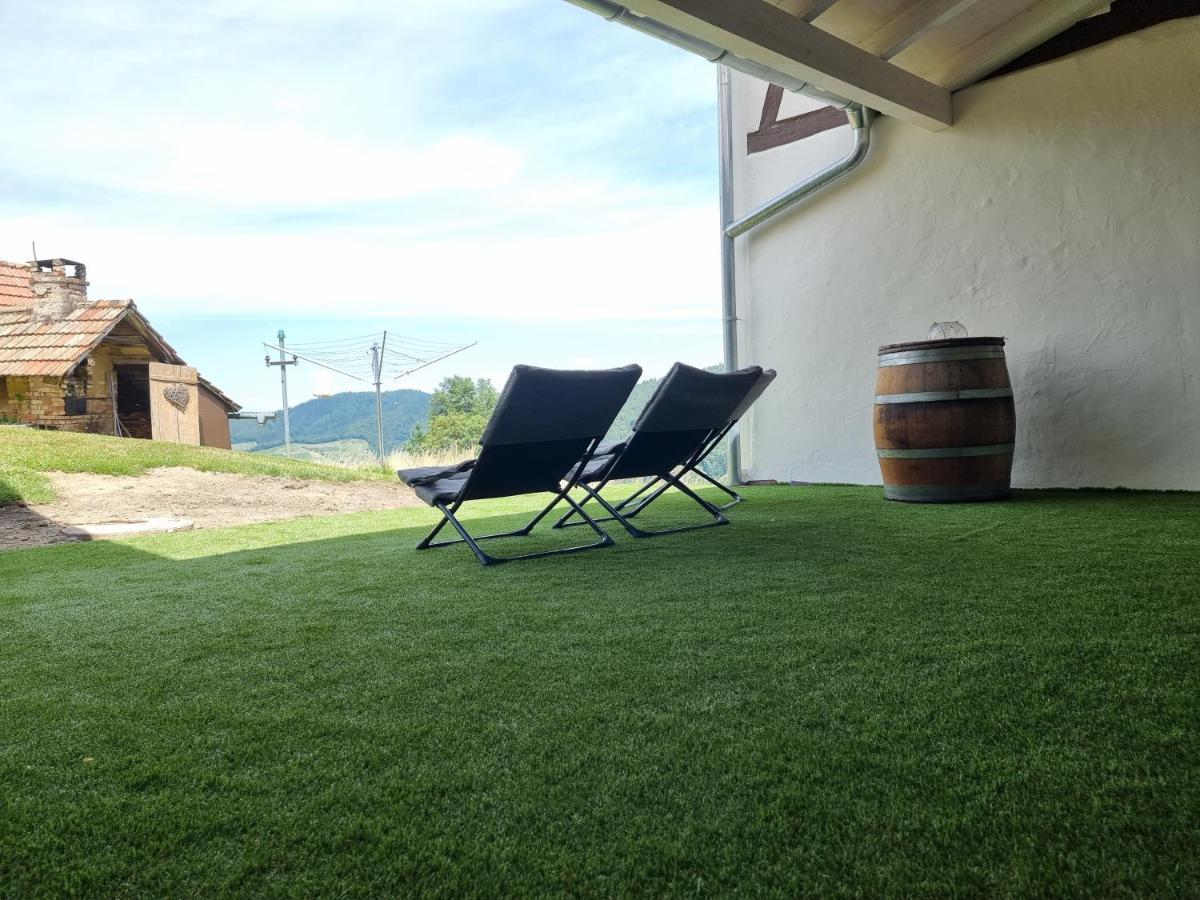 Haus Am Berg Mit Wellnessbereich, Bar Und Panorama Villa Bühlertal Екстериор снимка