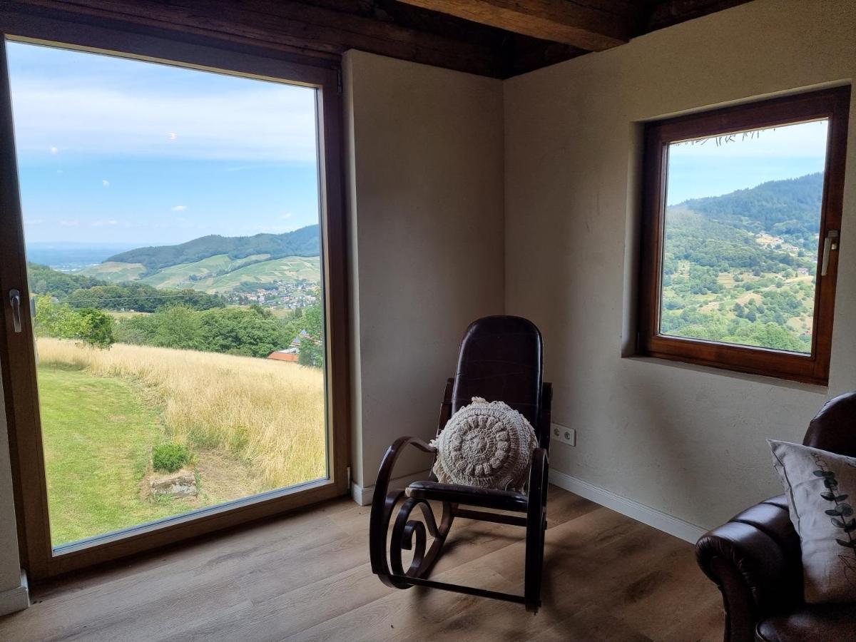 Haus Am Berg Mit Wellnessbereich, Bar Und Panorama Villa Bühlertal Екстериор снимка