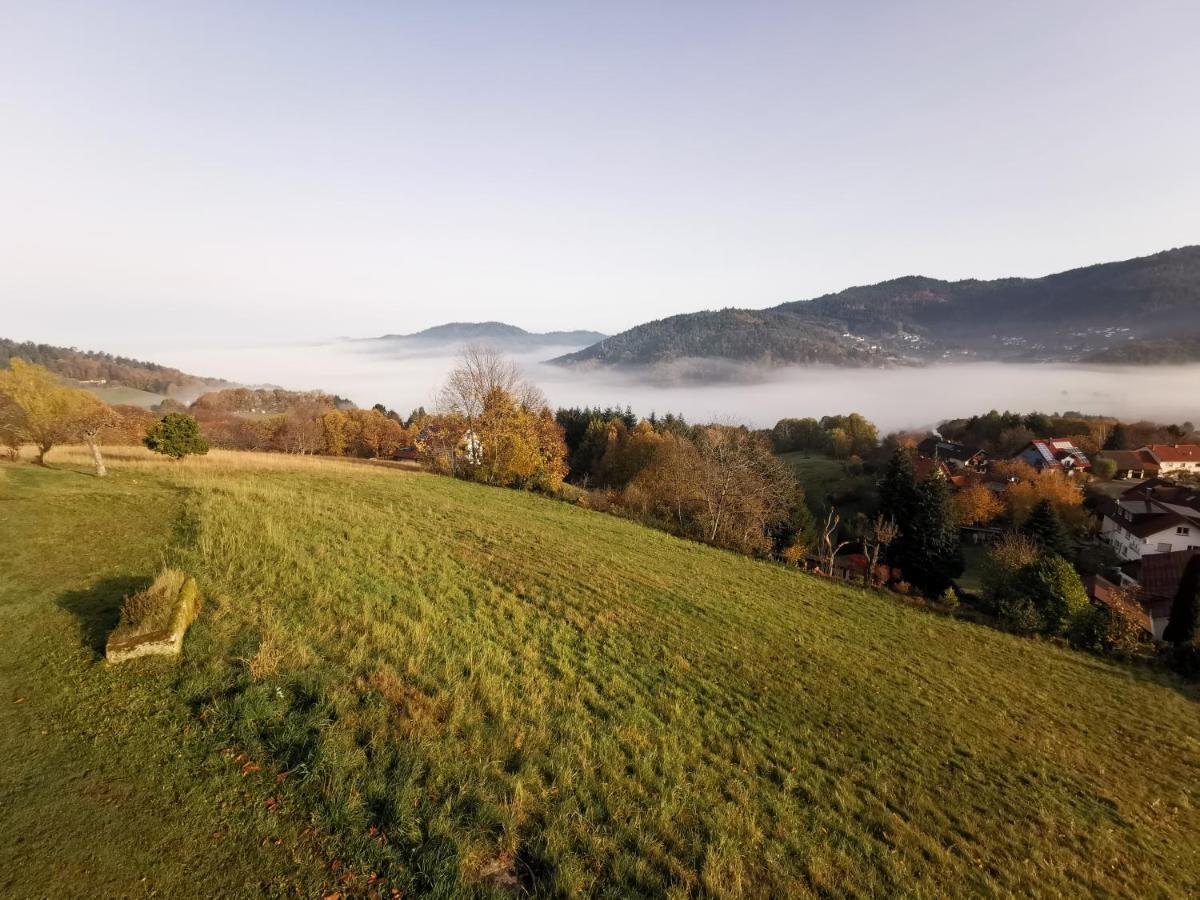 Haus Am Berg Mit Wellnessbereich, Bar Und Panorama Villa Bühlertal Екстериор снимка