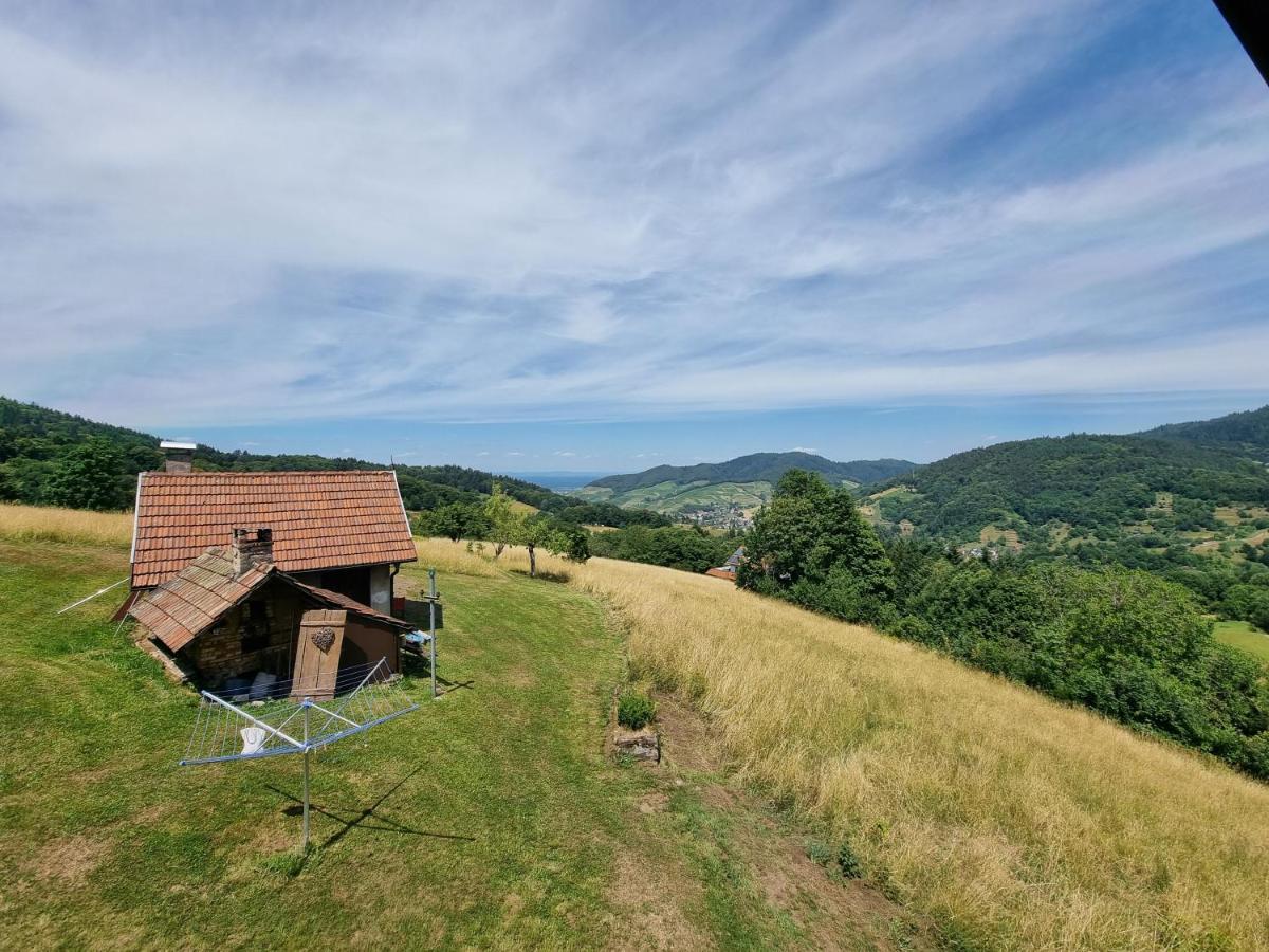 Haus Am Berg Mit Wellnessbereich, Bar Und Panorama Villa Bühlertal Екстериор снимка