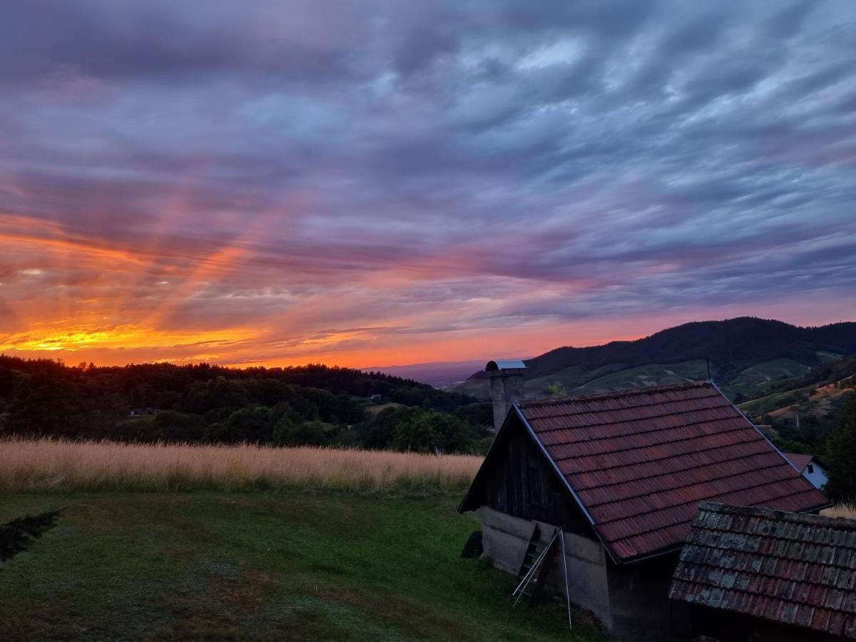 Haus Am Berg Mit Wellnessbereich, Bar Und Panorama Villa Bühlertal Екстериор снимка