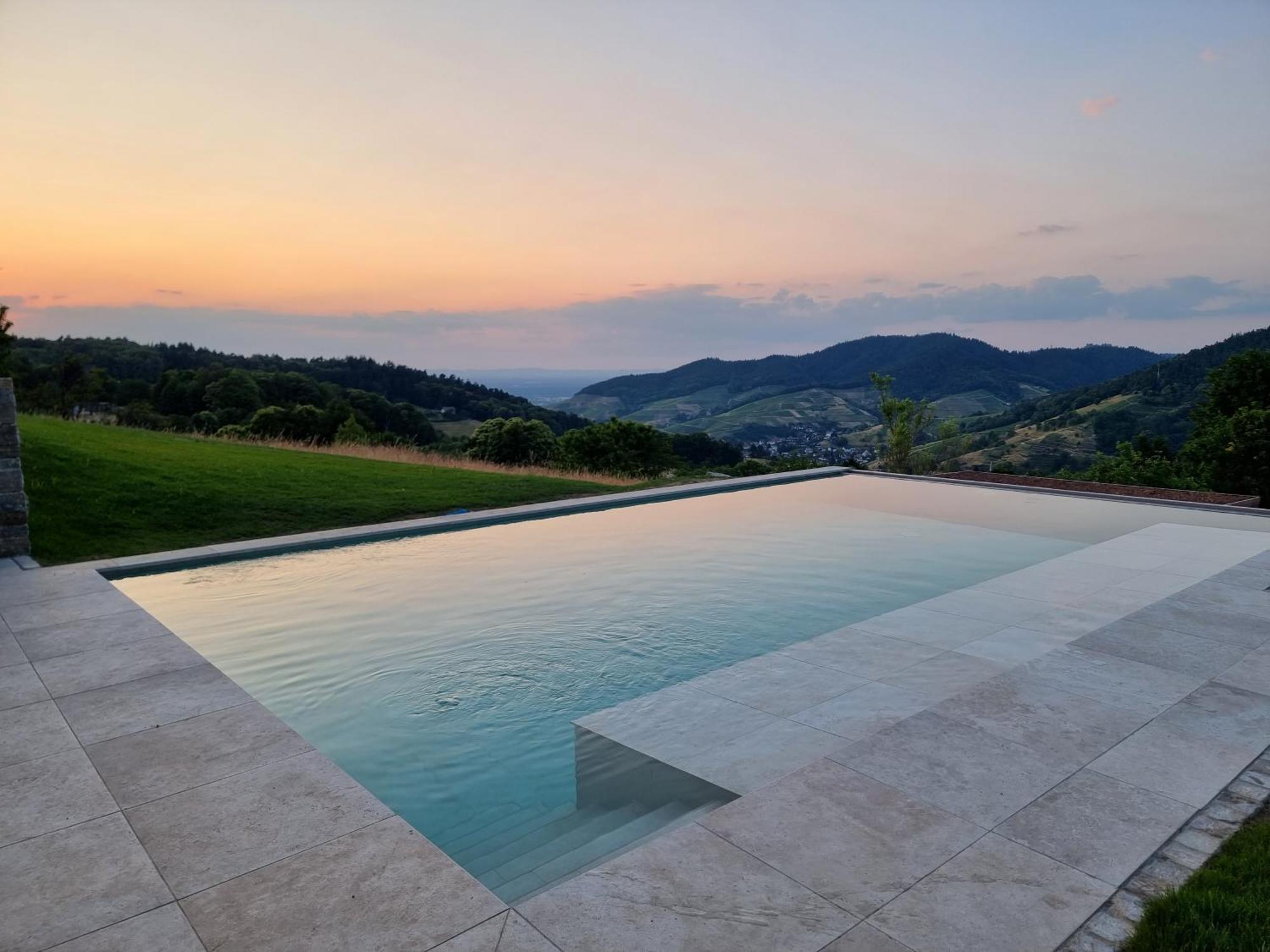 Haus Am Berg Mit Wellnessbereich, Bar Und Panorama Villa Bühlertal Екстериор снимка
